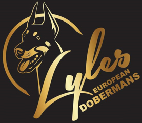 Logo image of Lyles Dobermans
